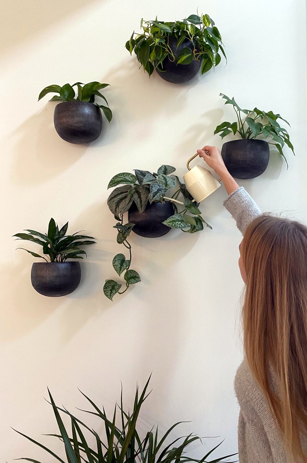 Indoor plants decorating: 5 wall-mounted planters