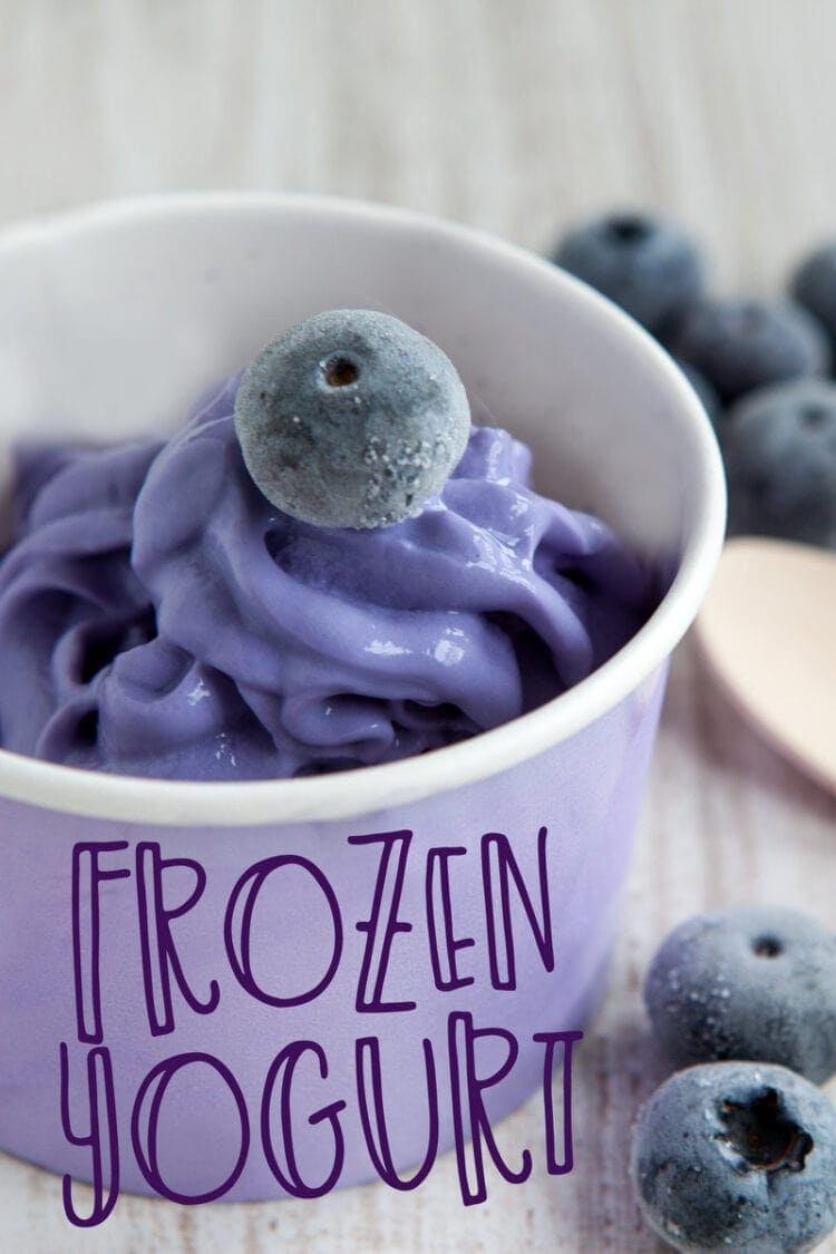 Blueberry frozen yogurt - Froyo
