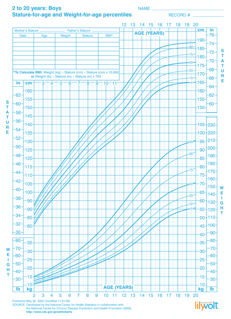 Height & weight growth charts for boys, ages 2-20 - Lilyvolt