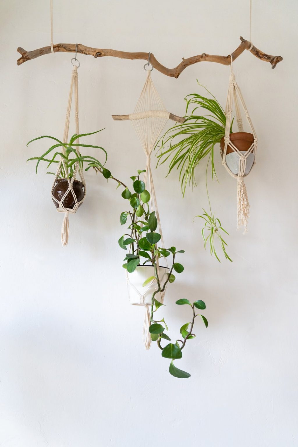 30 Creative Indoor Plant Decorating Ideas And None Of Them Are Wreaths Lilyvolt 8219