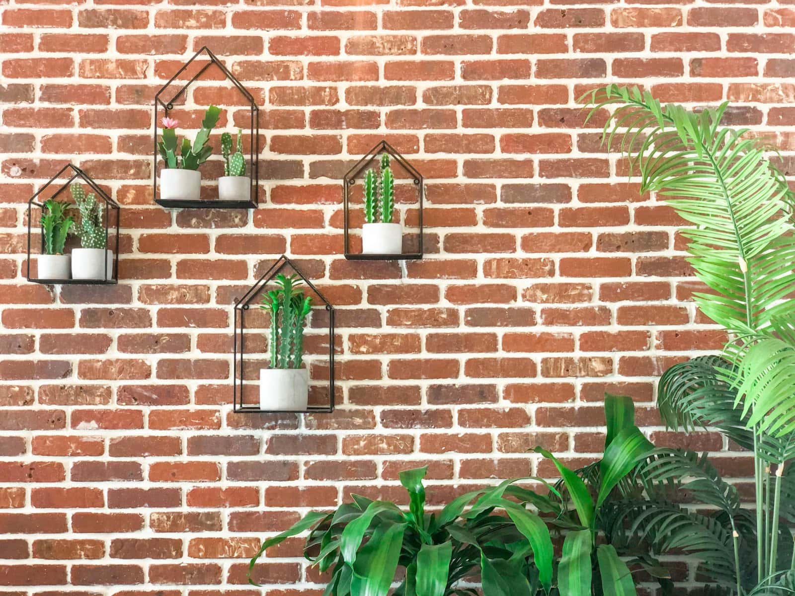 Indoor plants decorating: Brick wall with wall-mounted plant pot holders