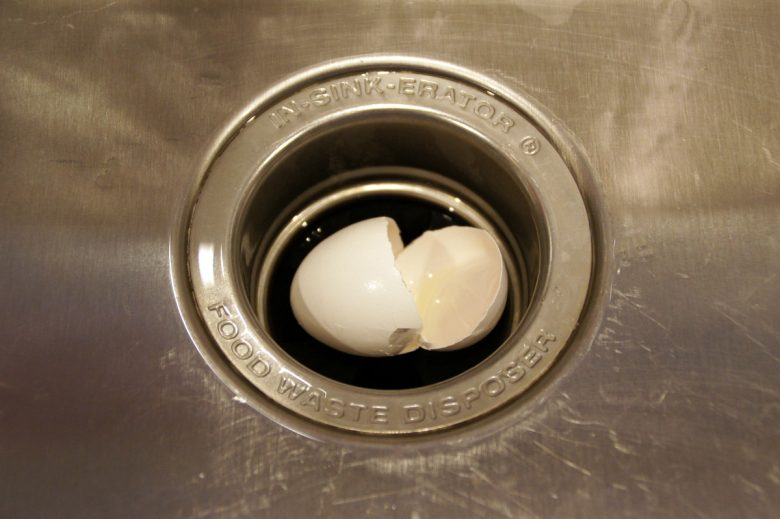 Can you put eggshells down the garbage disposal?