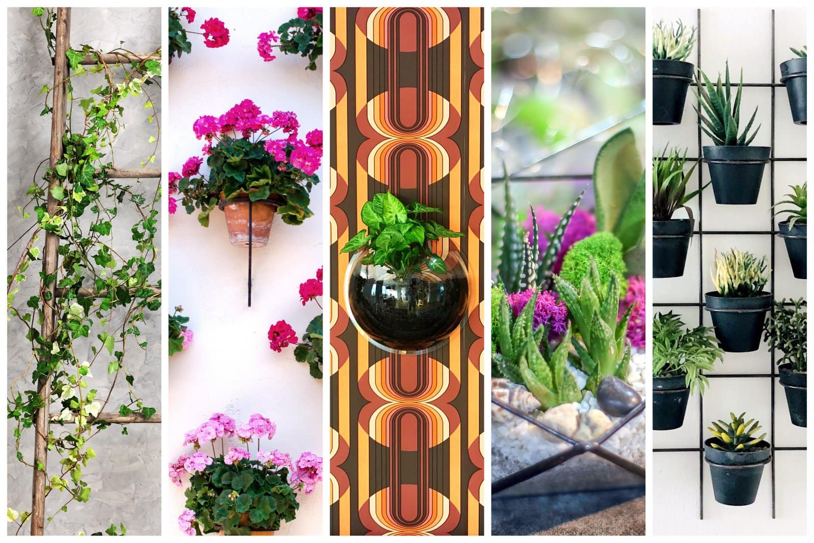 21 creative indoor plant decorating ideas and none of them are ...