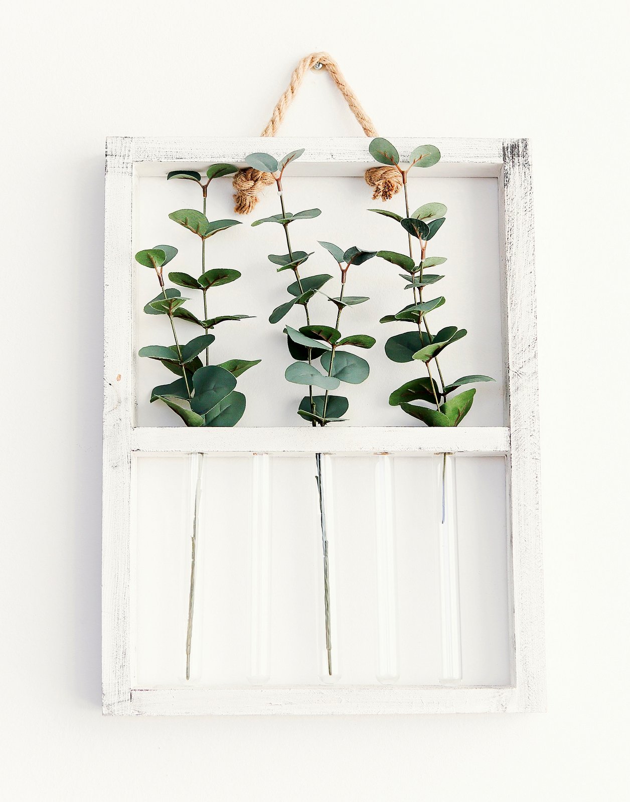 Indoor plants decorating: Small wall-mounted wooden crates with plants