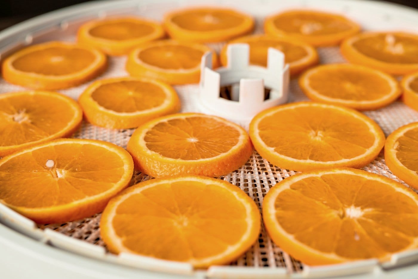 Dehydrating oranges