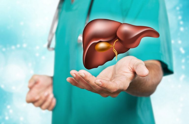 Doctor showing liver and gallbladder
