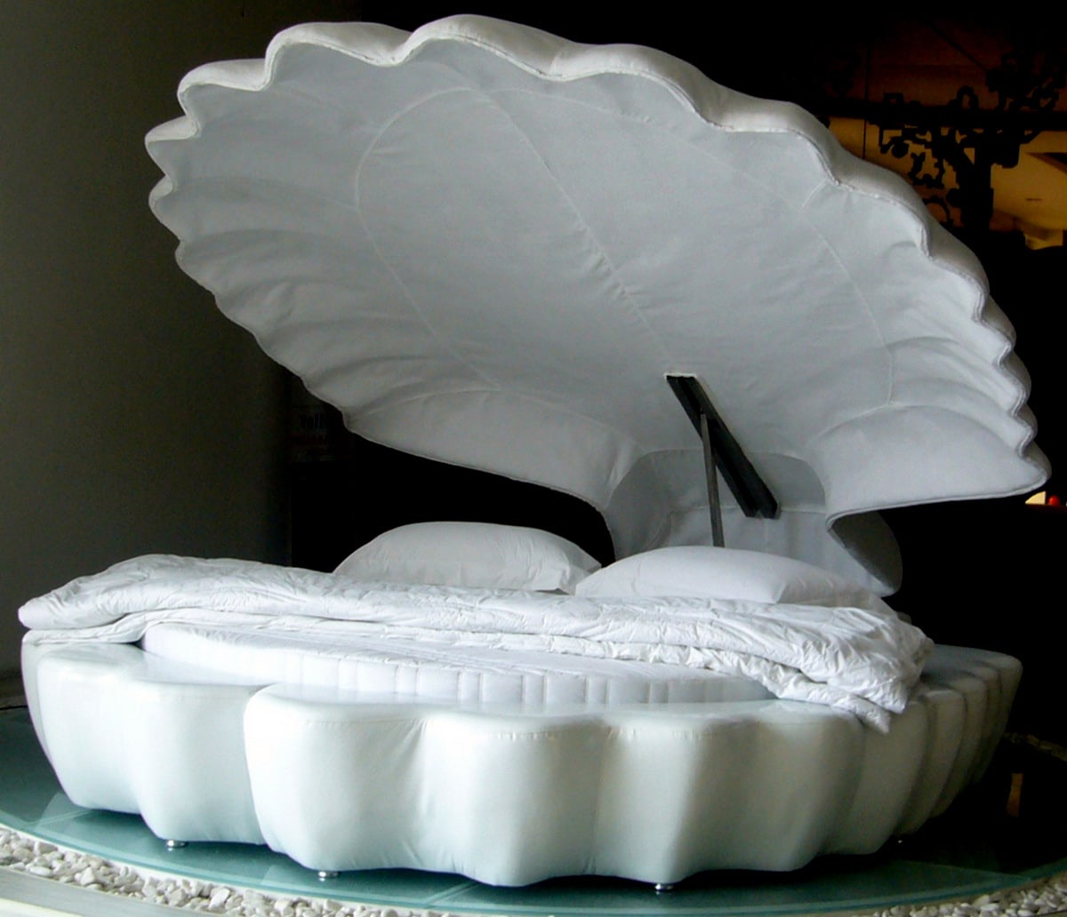 Giant seashell bed - Cool beds for grown-ups at Lilyvolt