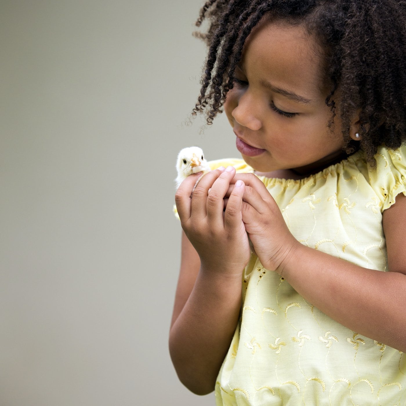 Girl gently holding a baby chick - chicken