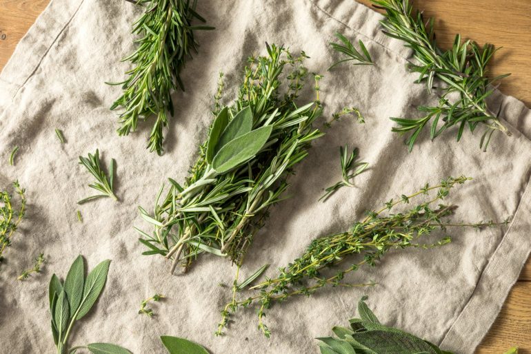 Green herbs - Sage rosemary and thyme - for a bouquet garni