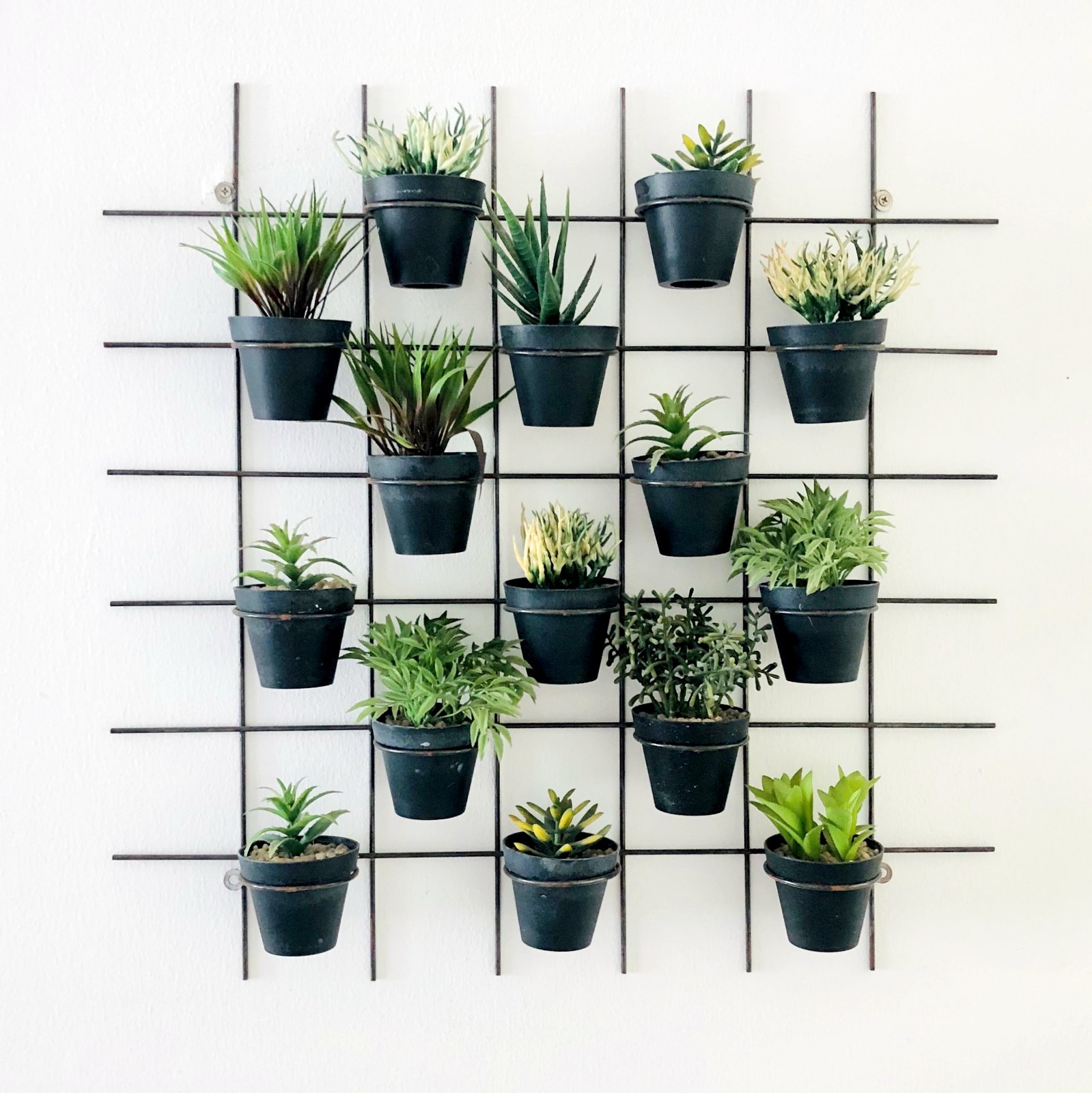 Indoor plants decorating: Grid frame with green potted plants