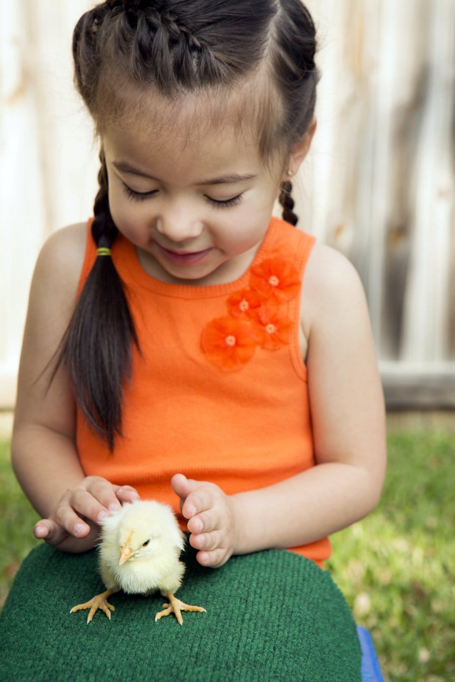 Little girl with a baby chick
