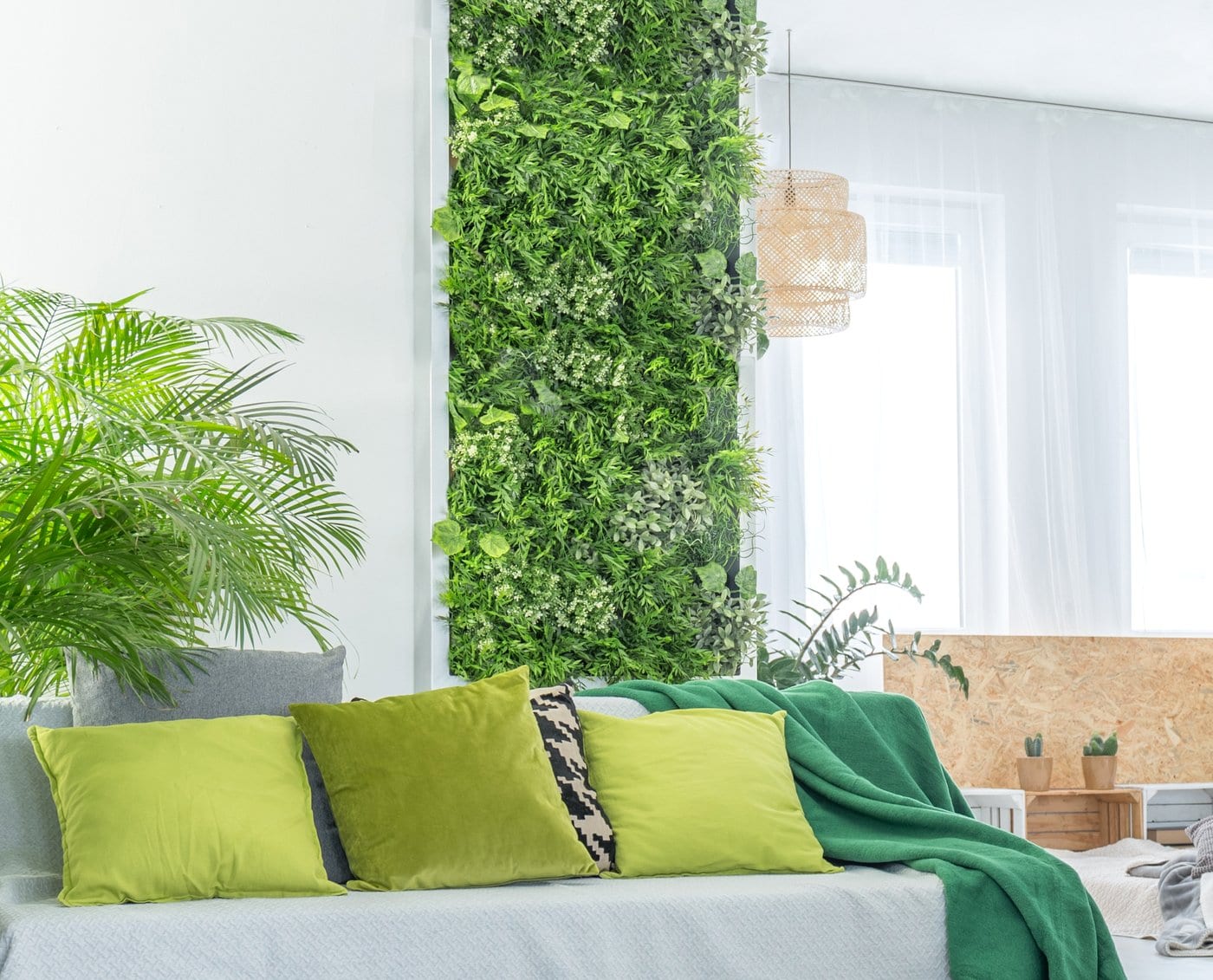 Indoor plants decorating: Living room with accent wall of leafy green plants