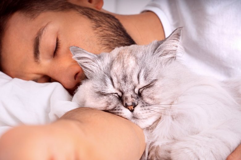 Sleep brain waves: Man sleeping next to a fluffy cat