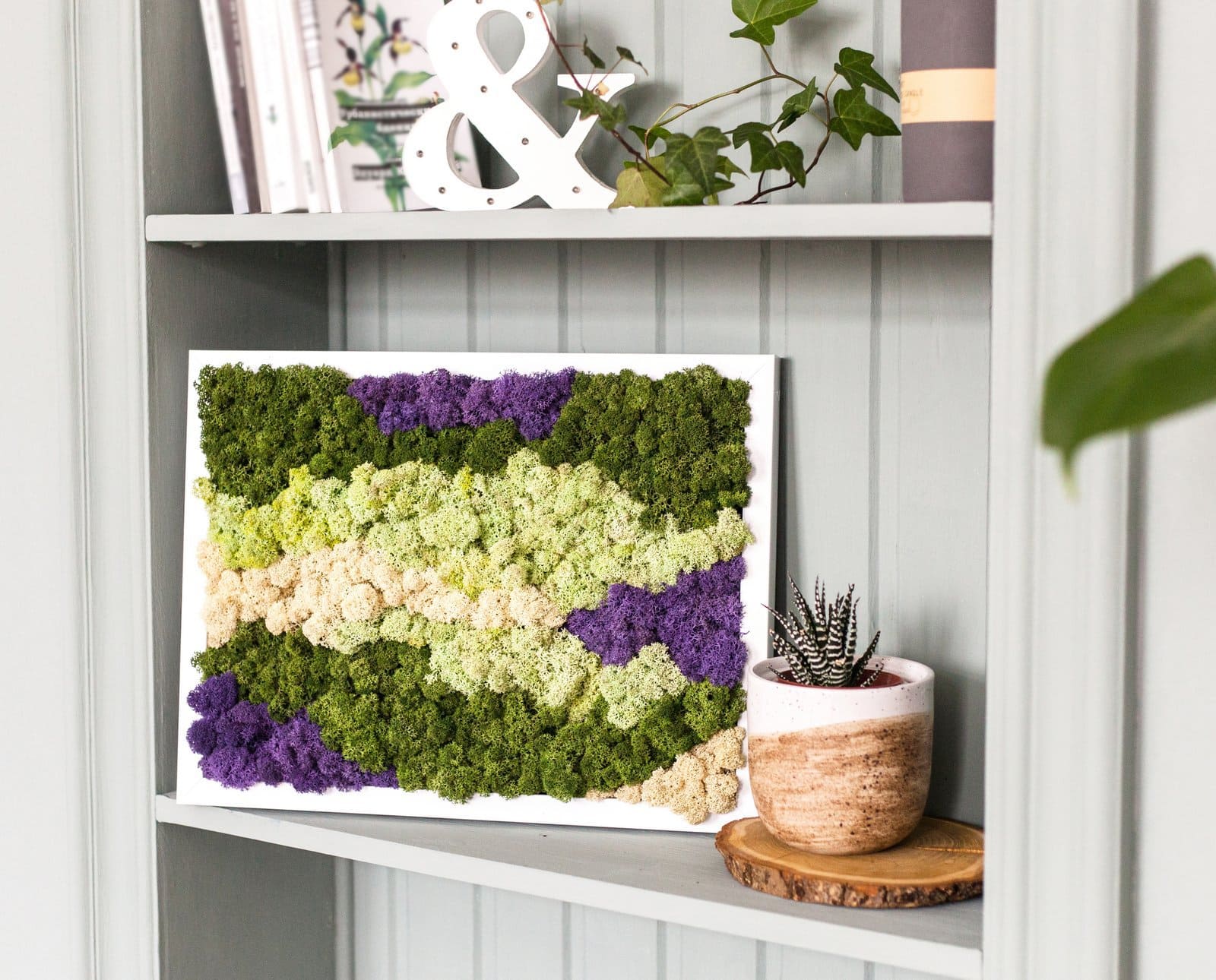 Indoor plants decorating: Multicolored moss and plant landscape frame on a shelf