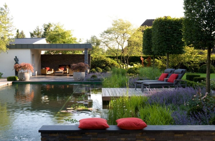 Natural swimming pool with plants terracing