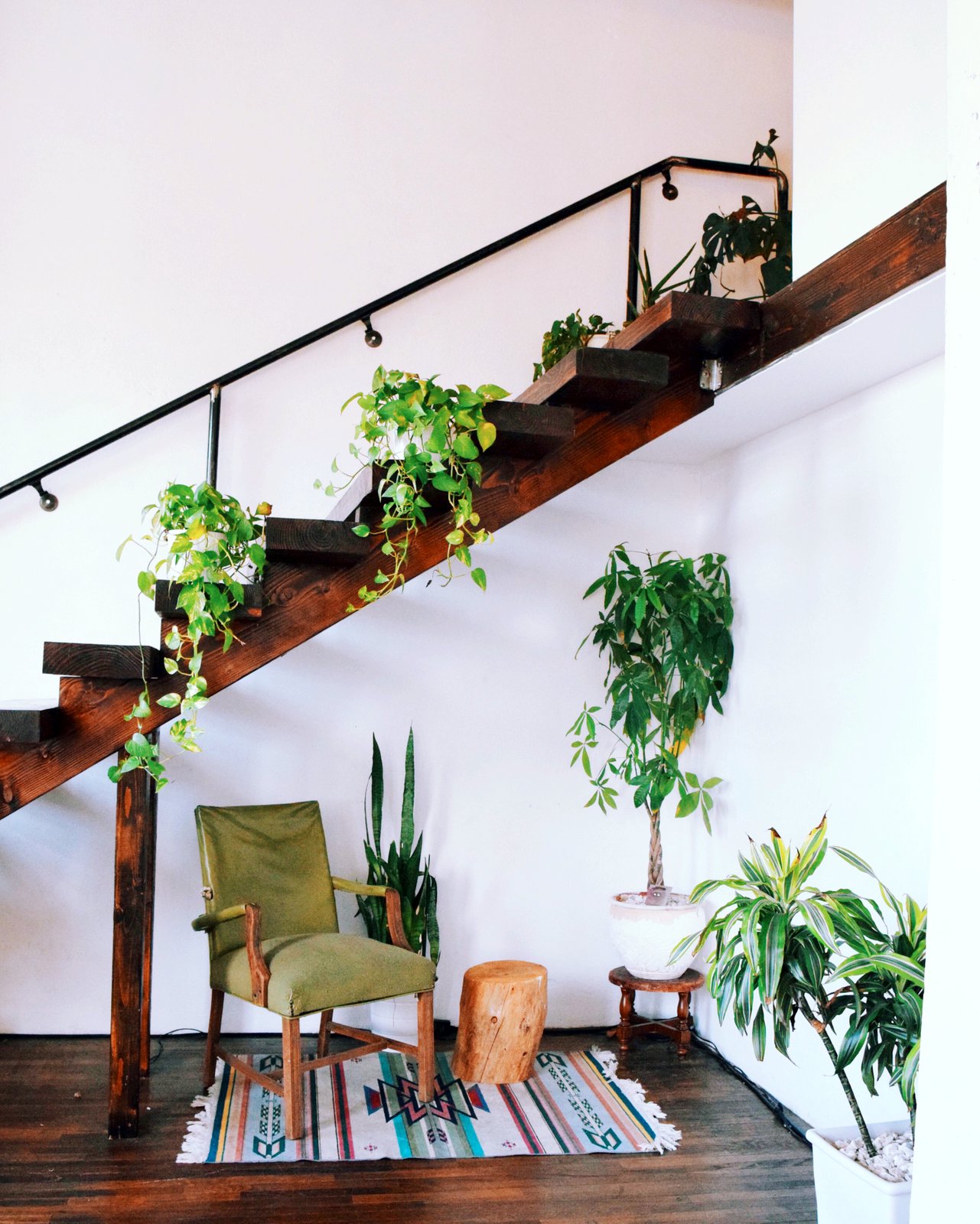 Indoor plants decorating: Plants hanging from stairs surrounding a reading nook