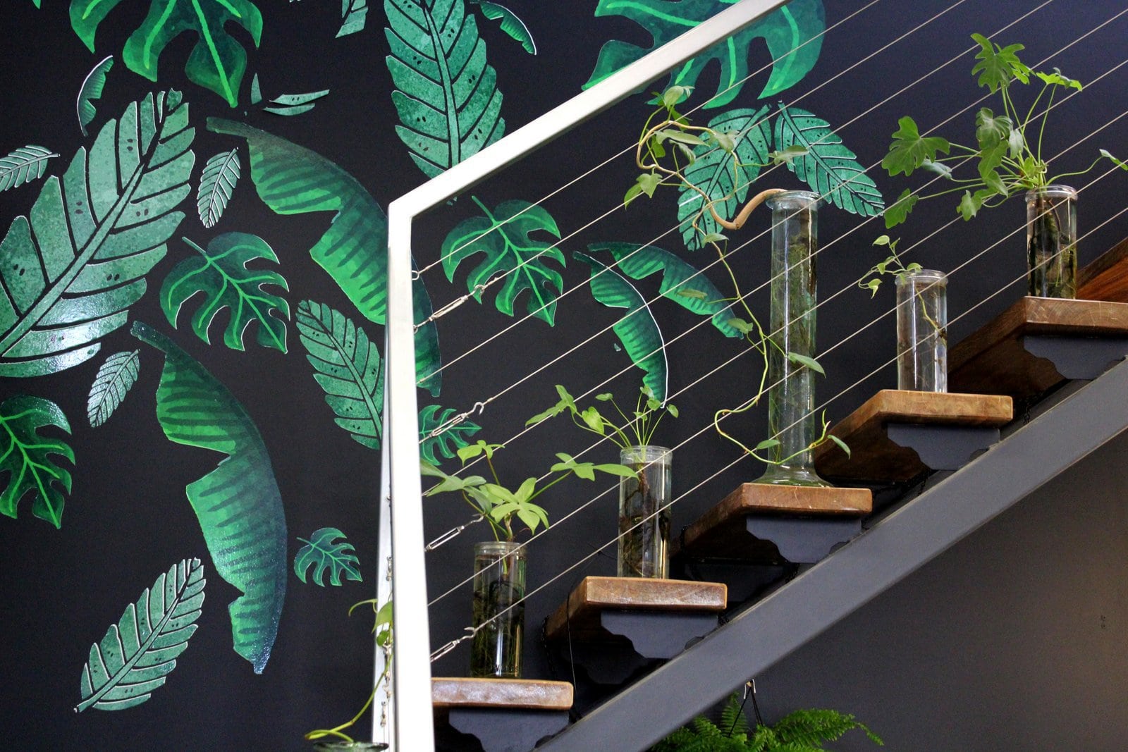Indoor plants decorating: Plants in glass vases in steps of staircase