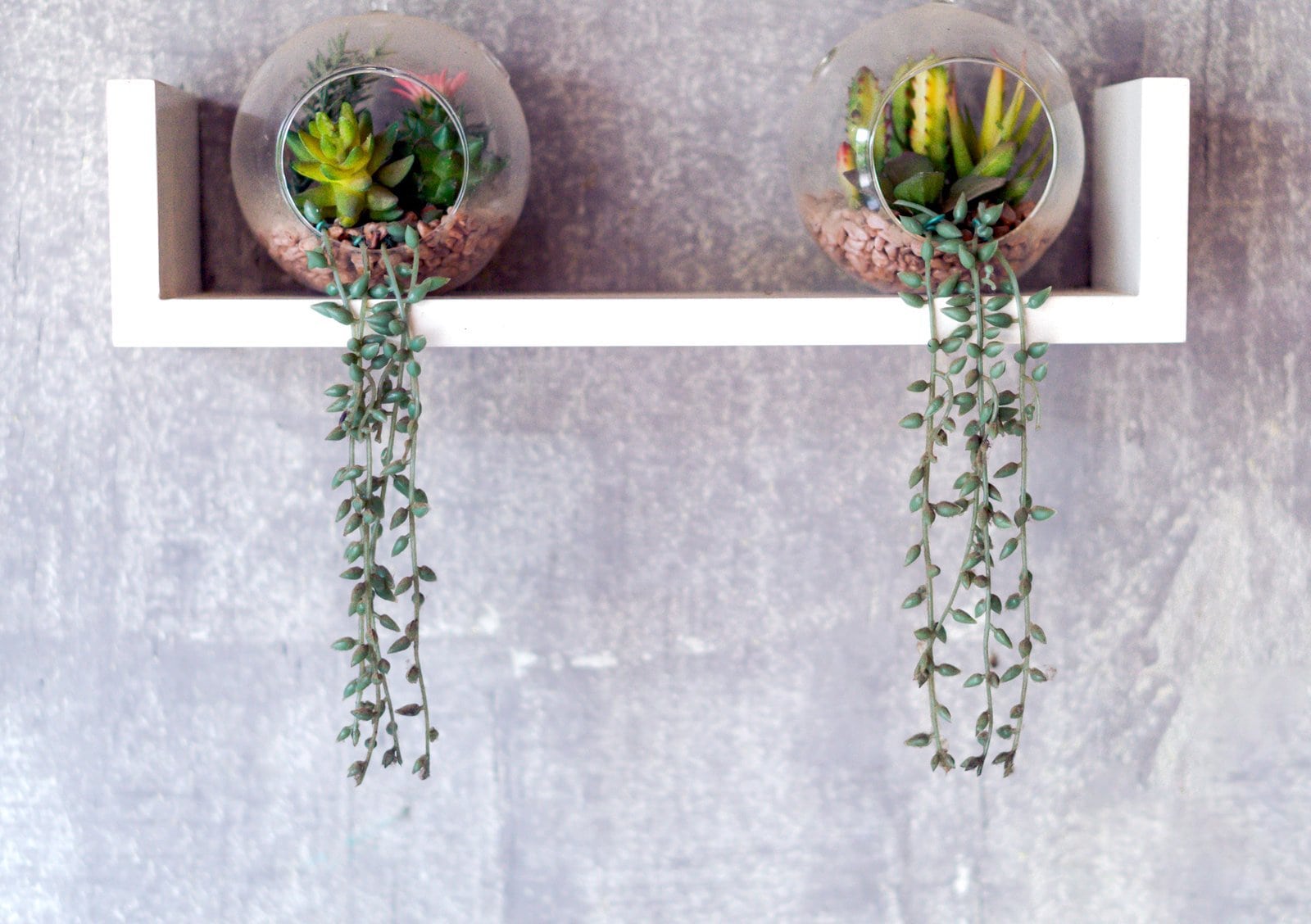 Indoor plants decorating: Simple shelf with two small trailing succulents - Plant decor