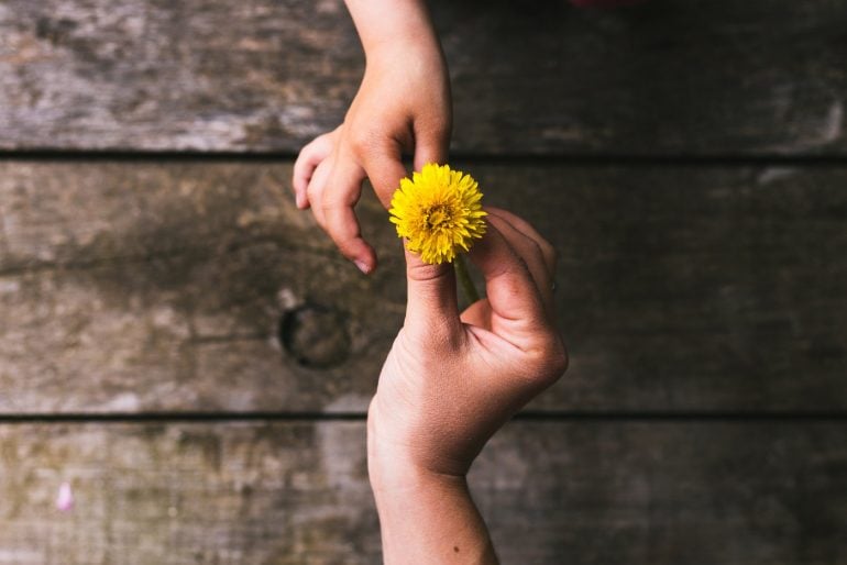 Two hands passing a yellow flower