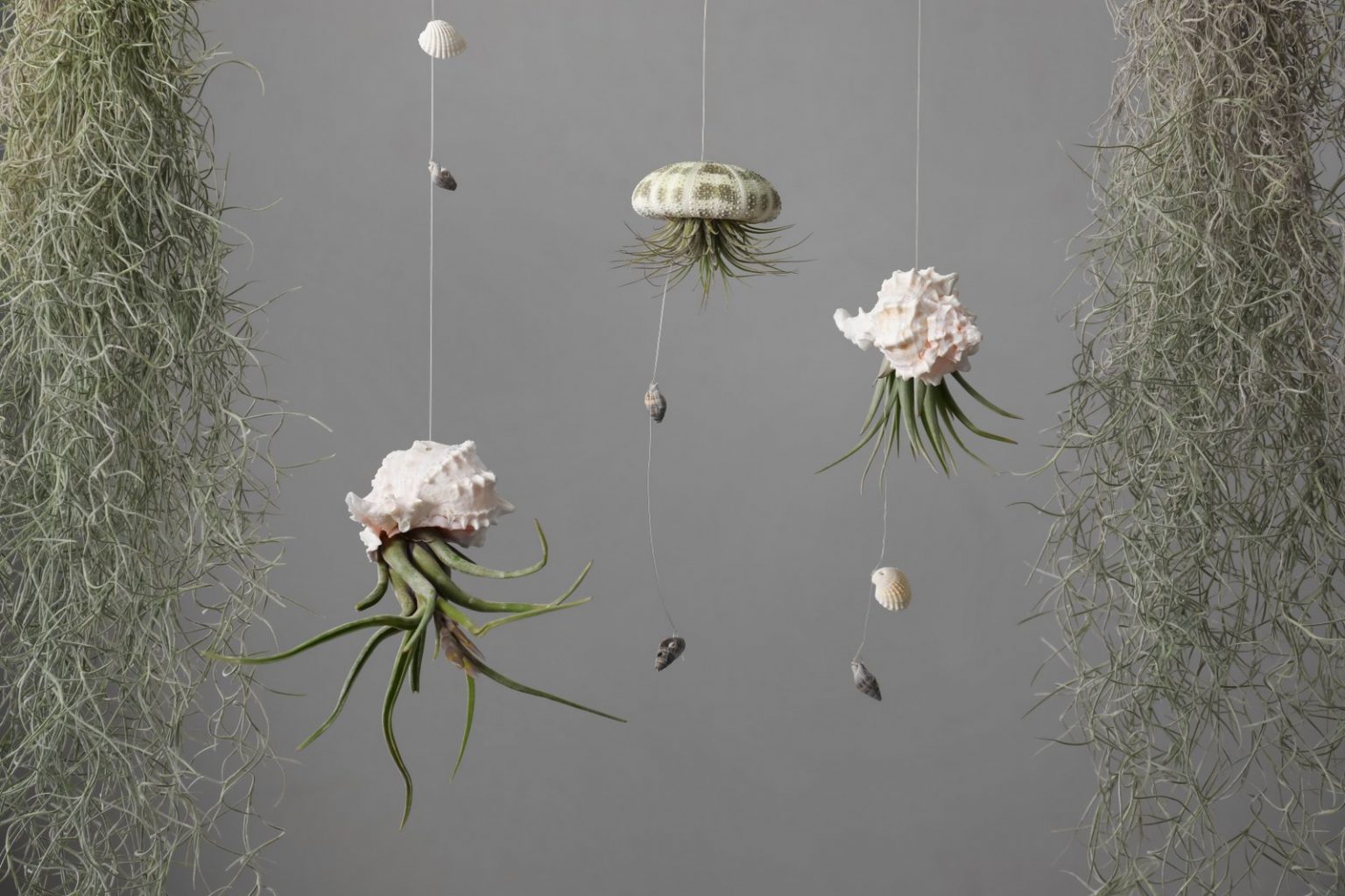 30 Creative Indoor Plant Decorating Ideas And None Of Them Are Wreaths Lilyvolt 9703