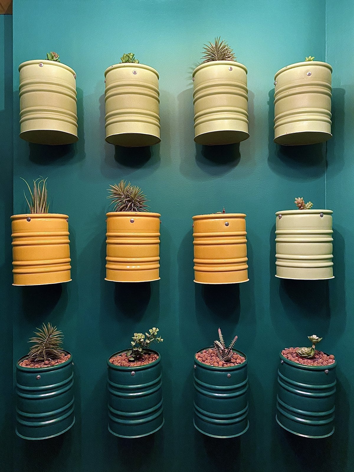 Indoor plants decorating: Wall of 12 simple painted cans with small plants