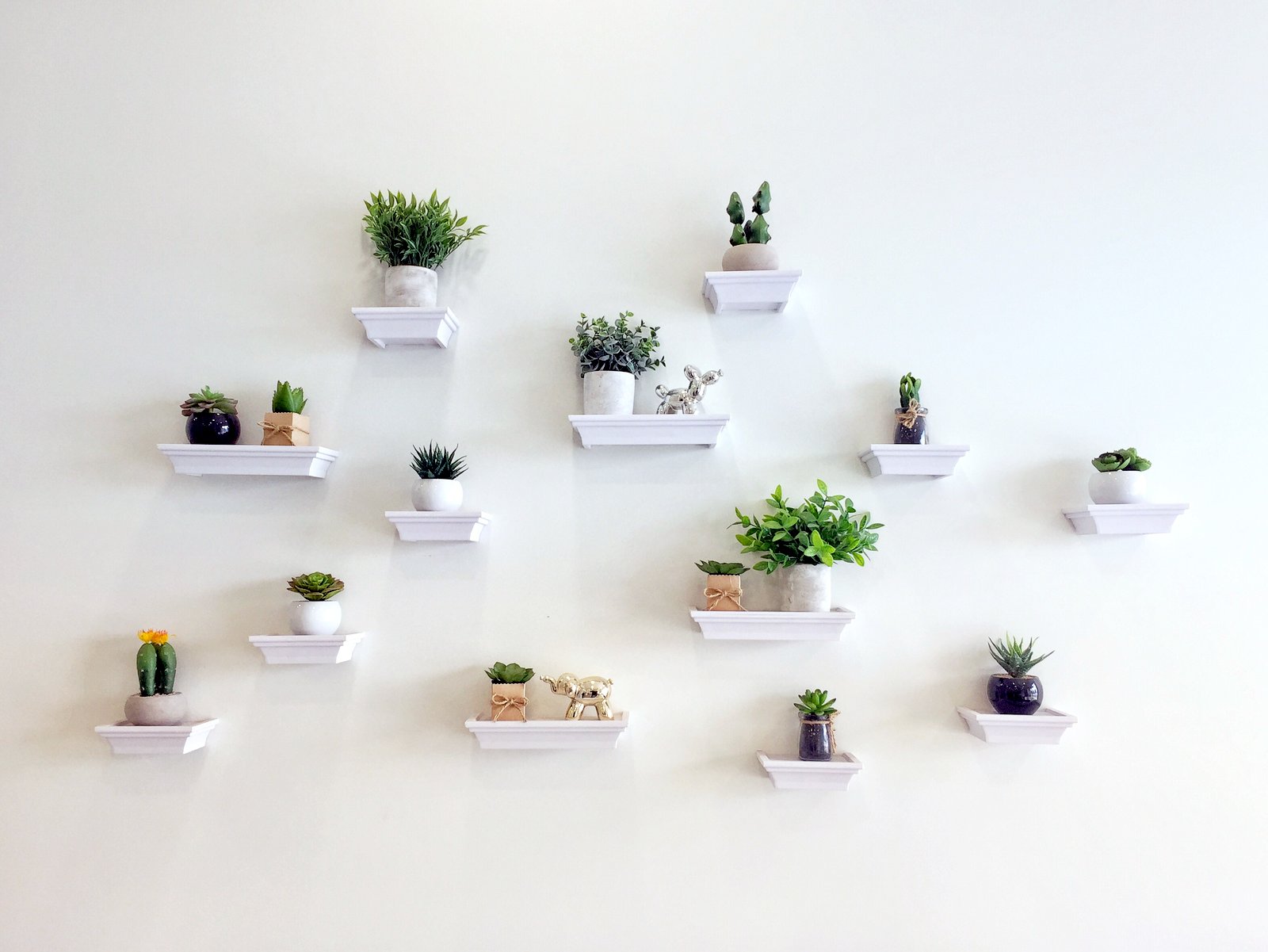 Indoor plants decorating: Wall with small white shelves and little potted plants