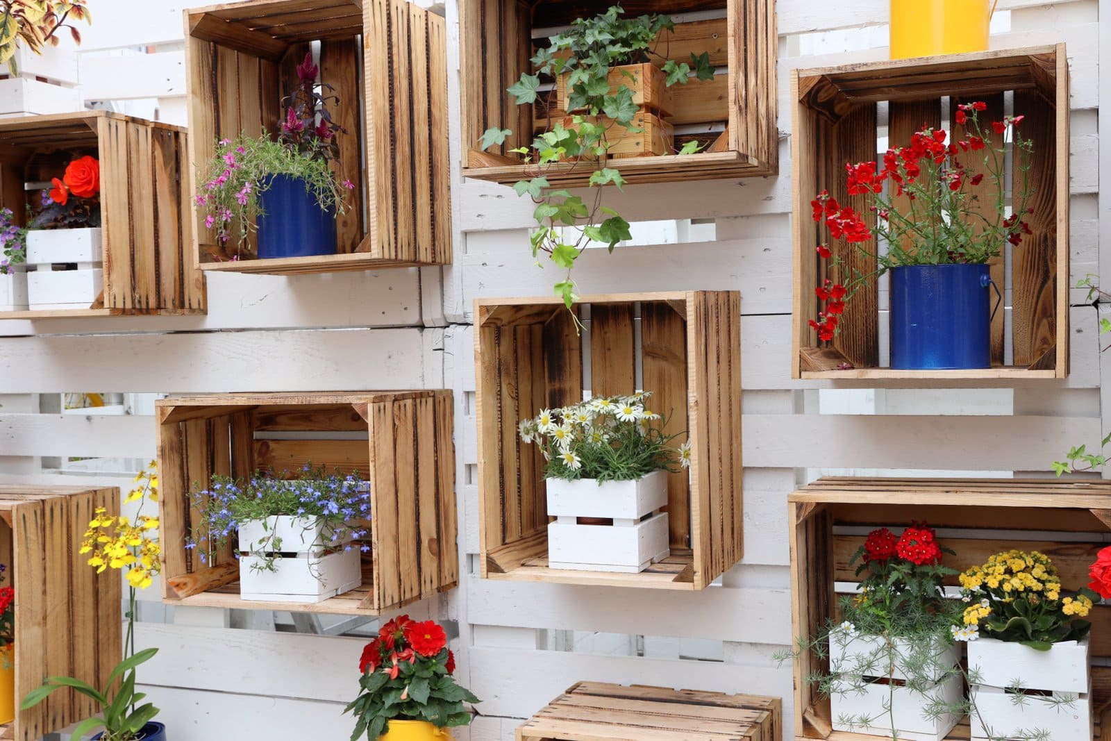 Wooden crates with potted and boxed flowers - Home decor