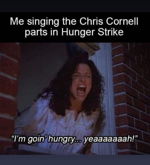chris cornell hunger strike gen x meme