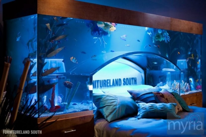 fish tank aquarium bed