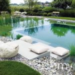 Single surface level self-sustaining swimming pool