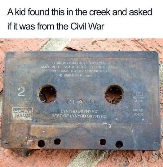 lynyrd skynyrd cassette tape gen x meme