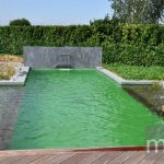 Beautiful modernist natural pool