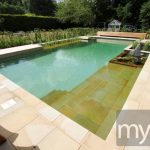 Natural backyard pool in a conventional swimming pool style