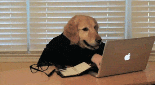 productivity dog typing